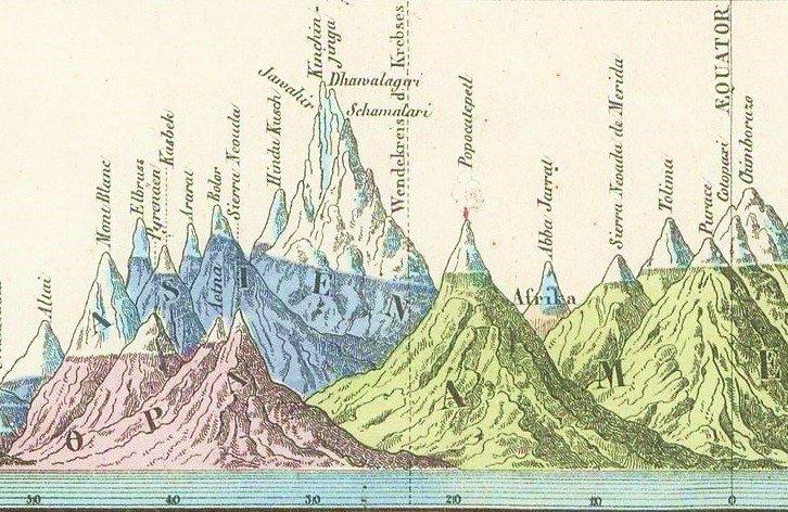 Vertical section