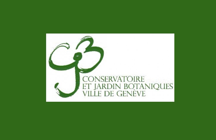 Bibliothèque en travaux